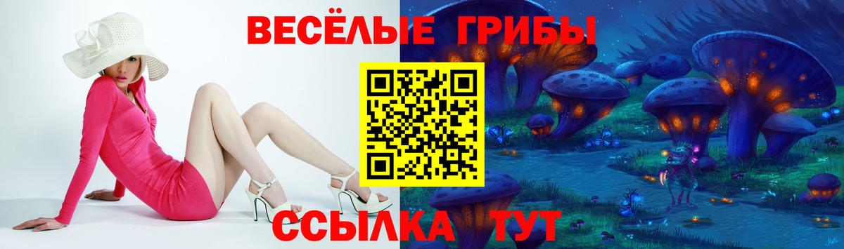 Псилоцибиновые грибы Cubensis  купить наркоту  Артём  Вход с VPN  Псилоцибиновые грибы мицелий 
