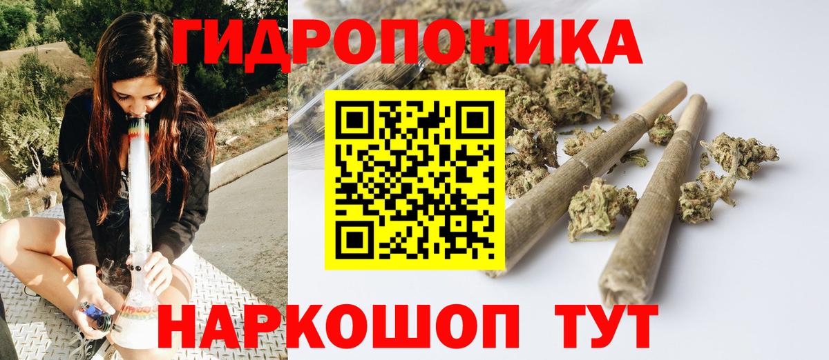 Каннабис индика Артём